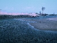 NL, Noord-Brabant, Drimmelen, Noordergat van de Plomp 4, 1960, Saxifraga-Jules Witlox