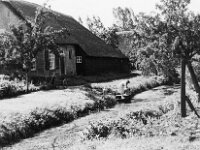 NL, Noord-Brabant, Drimmelen, Oud-Drimmelen 1, 1960, Saxifraga-Jules Witlox
