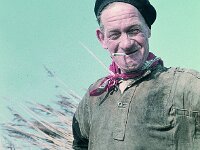 NL, Noord-Brabant, Drimmelen, Polder Kindem 5, 1960, Saxifraga-Jules Witlox