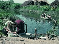 NL, Noord-Brabant, Drimmelen, Polder Lepelaar 2, 1960, Saxifraga-Jules Witlox