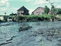 NL, Noord-Brabant, Drimmelen, Polder Turfzakken 1, 1960, Saxifraga-Jules Witlox