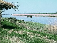 NL, Noord-Brabant, Drimmelen, Stroomgat 4, 1960, Saxifraga-Jules Witlox