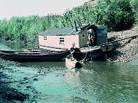 NL, Noord-Brabant, Drimmelen, Stroomgat 5, 1960, Saxifraga-Jules Witlox