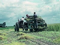 NL, Noord-Brabant, Drimmelen, Vischplaat 11, 1960, Saxifraga-Jules Witlox