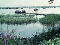 NL, Noord-Brabant, Drimmelen, Vischplaat 13, 1960, Saxifraga-Jules Witlox