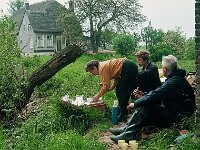 NL, Noord-Brabant, Drimmelen, Vischplaat 17, 1960, Saxifraga-Jules Witlox