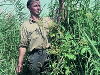 NL, Noord-Brabant, Drimmelen, Vischplaat 23, 1960, Saxifraga-Jules Witlox