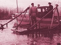 NL, Noord-Brabant, Drimmelen, Vischplaat 28, 1960, Saxifraga-Jules Witlox