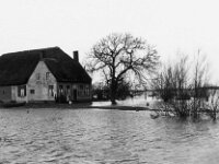 NL, Noord-Brabant, Drimmelen, Vischplaat 5, 1960, Saxifraga-Jules Witlox