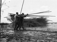 NL, Noord-Brabant, Drimmelen, Zuidergat van de Visschen 1, 1960, Saxifraga-Jules Witlox