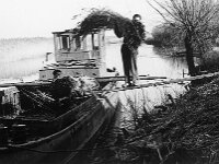 NL, Noord-Brabant, Drimmelen 10, 1960, Saxifraga-Jules Witlox