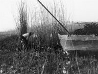 NL, Noord-Brabant, Drimmelen 11, 1960, Saxifraga-Jules Witlox