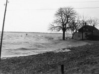 NL, Noord-Brabant, Drimmelen 29, 1960, Saxifraga-Jules Witlox