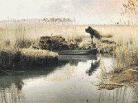 NL, Noord-Brabant, Drimmelen 30, 1960, Saxifraga-Jules Witlox