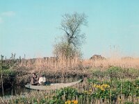 NL, Noord-Brabant, Drimmelen 32, 1960, Saxifraga-Jules Witlox