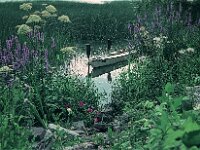 NL, Noord-Brabant, Drimmelen 53, 1960, Saxifraga-Jules Witlox
