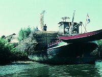 NL, Noord-Brabant, Drimmelen 59, 1960, Saxifraga-Jules Witlox