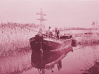 NL, Noord-Brabant, Drimmelen 60, 1960, Saxifraga-Jules Witlox