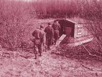 NL, Noord-Brabant, Drimmelen 66, 1960, Saxifraga-Jules Witlox