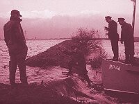 NL, Noord-Brabant, Drimmelen 68, 1960, Saxifraga-Jules Witlox