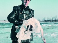 NL, Noord-Brabant, Drimmelen 82, 1960, Saxifraga-Jules Witlox