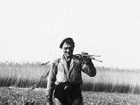 NL, Noord-Brabant, Drimmelen 9, 1960, Saxifraga-Jules Witlox
