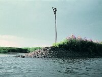 NL, Noord-Brabant, Drimmelen, Amer 15, 1960, Saxifraga-Jules Witlox