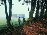 NL, Noord-Brabant, Drimmelen, Annapolder 2, 1960, Saxifraga-Jules Witlox