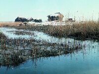 NL, Noord-Brabant, Drimmelen, Hofmansplaat 47, 1960, Saxifraga-Jules Witlox