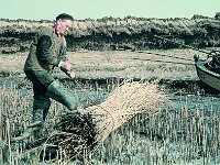 NL, Noord-Brabant, Drimmelen, Polder Kindem 2, 1960, Saxifraga-Jules Witlox