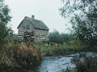 NL, Noord-Brabant, Drimmelen, Rietgijster 1, 1960, Saxifraga-Jules Witlox