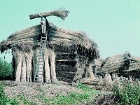NL, Noord-Brabant, Drimmelen, Stroomgat 2, 1960, Saxifraga-Jules Witlox