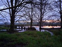 NL, Noord-Brabant, Eersel, Kleine Beerze in Molenbroek 3, Saxifraga-Tom Heijnen