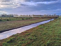 NL, Noord-Brabant, Eersel, Kleine Beerze in Molenbroek 4, Saxifraga-Tom Heijnen