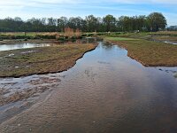 NL, Noord-Brabant, Eersel, Kleine Beerze in Molenbroek 5, Saxifraga-Tom Heijnen