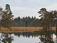 NL, Noord-Brabant, Heeze-Leende, Spinsterberg 6, Saxifraga-Tom Heijnen
