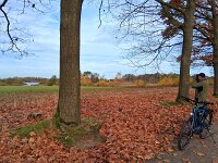 NL, Noord-Brabant, Heeze-Leende, Valkenhorst 3, Saxifraga-Tom Heijnen