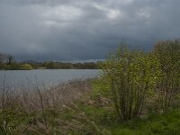 NL, Noord-Brabant, Heusden, Haarsteegse Wiel 22, Saxifraga-Jan van der Straaten