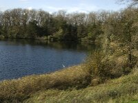 NL, Noord-Brabant, Heusden, Haarsteegse Wiel 27, Saxifraga-Jan van der Straaten