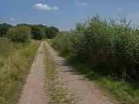 NL, Noord-Brabant, Oisterwijk, Voorste Stroom 32, Saxifraga-Jan van der Straaten