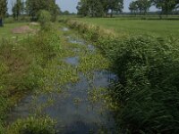 NL, Noord-Brabant, Oisterwijk, Voorste Stroom 34, Saxifraga-Jan van der Straaten