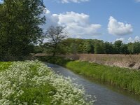 NL, Noord-Brabant, Oisterwijk, Voorste Stroom 46, Saxifraga-Jan van der Straaten