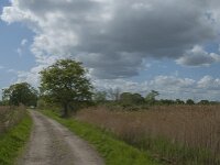 NL, Noord-Brabant, Oisterwijk, Voorste Stroom 58, Saxifraga-Jan van der Straaten