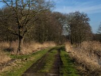NL, Noord-Brabant, Tilburg, Hoevense Steeg 1, Saxifraga-Jan van der Straaten