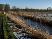 NL, Noord-Brabant, Tilburg, Hoevense Steeg 15, Saxifraga-Jan van der Straaten