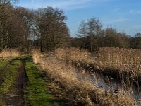 NL, Noord-Brabant, Tilburg, Hoevense Steeg 2, Saxifraga-Jan van der Straaten