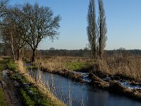 NL, Noord-Brabant, Tilburg, Hoevense Steeg 8, Saxifraga-Jan van der Straaten