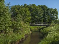 NL, Noord-Brabant, Tilburg, Nieuwe Leij 1, Saxifraga-Jan van der Straaten