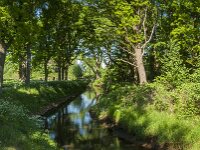 NL, Noord-Brabant, Tilburg, Nieuwe Leij 2, Saxifraga-Jan van der Straaten