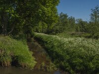 NL, Noord-Brabant, Tilburg, Nieuwe Leij 4, Saxifraga-Jan van der Straaten